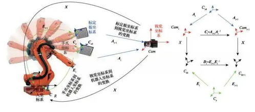 转向运动姿态，开启健康向上生活的密钥