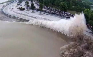 台风杜鹃肆虐，登陆多地引发强风暴雨破坏